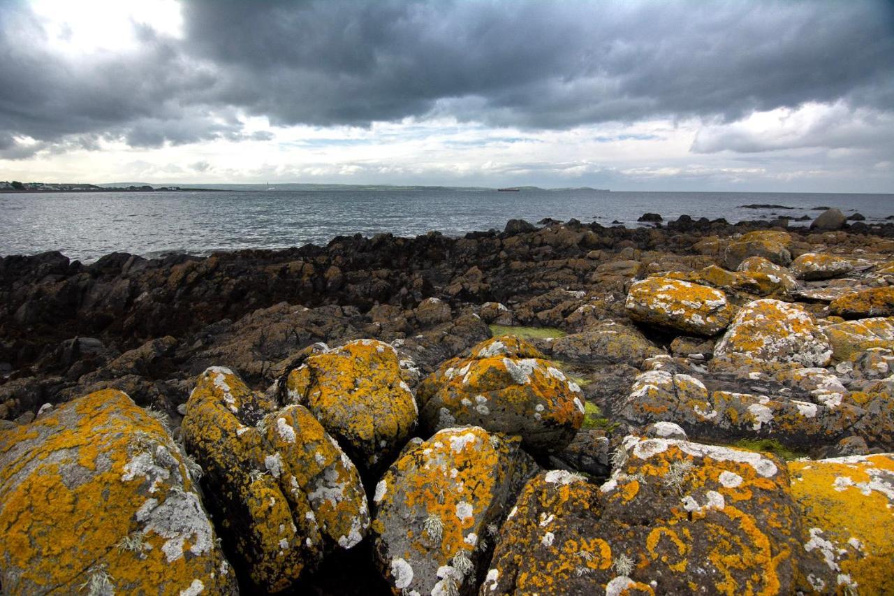 Tern Cottage Groomsport Kültér fotó